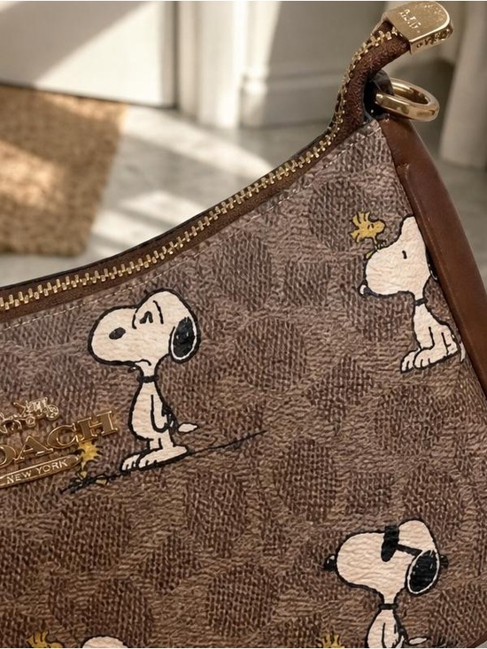 Coach Handbags - Coach Brown Snoopy Printed Wristlet with Gold Hardware